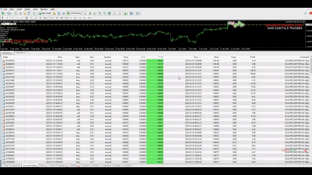 One week on a Roboforex live account with 1000 dollars and 1:500 leverage