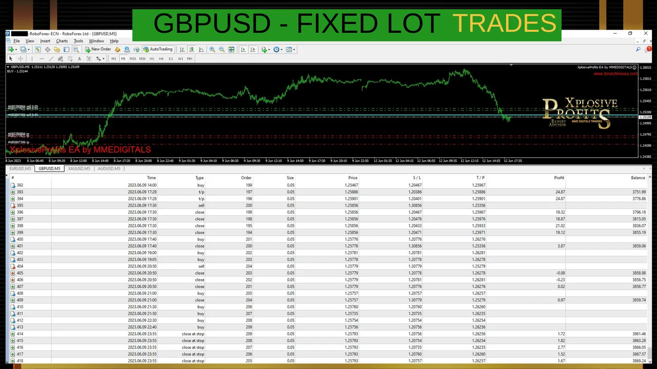 Gallery image 14 of the MT4 robot for EURUSD, GBPUSD, AUDUSD, USDJPY and XAUUSD