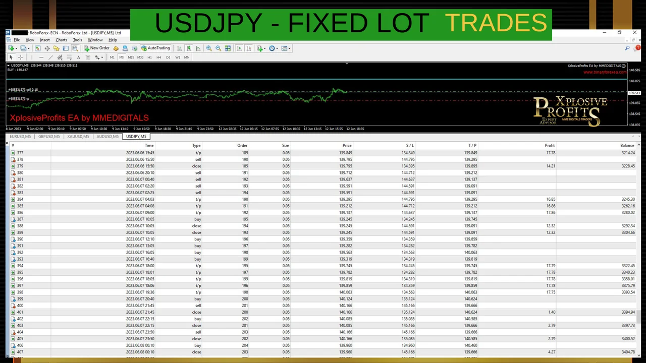Gallery image 18 of the MT4 robot for EURUSD, GBPUSD, AUDUSD, USDJPY and XAUUSD