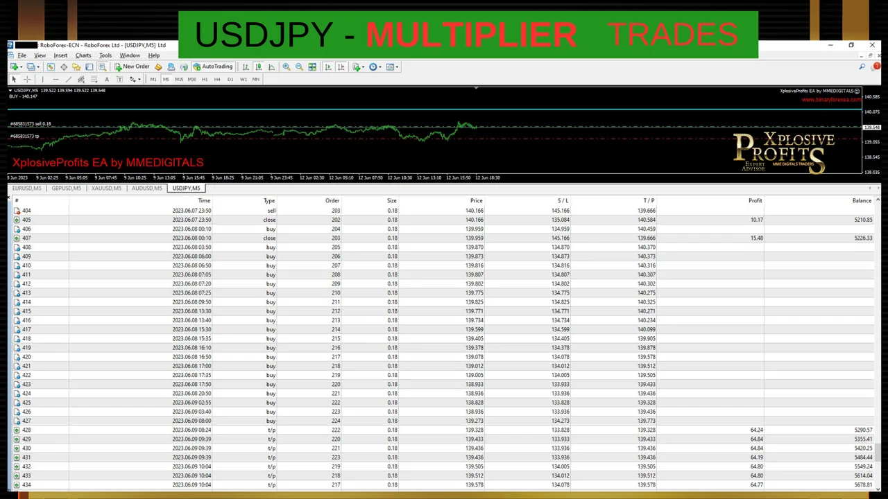 Gallery image 20 of the MT4 robot for EURUSD, GBPUSD, AUDUSD, USDJPY and XAUUSD