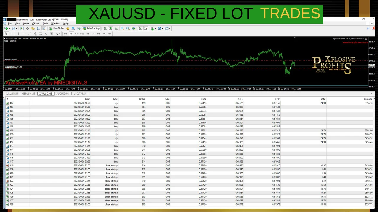 Gallery image 22 of the MT4 robot for EURUSD, GBPUSD, AUDUSD, USDJPY and XAUUSD