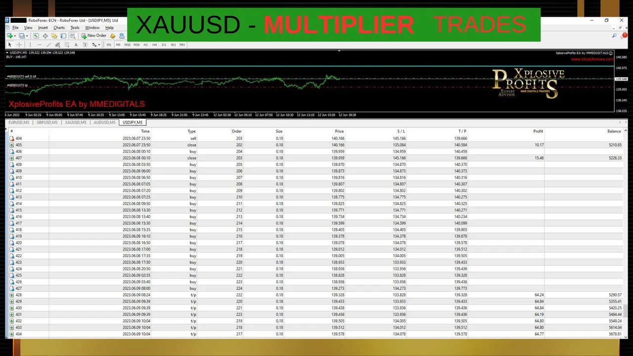Gallery image 24 of the MT4 robot for EURUSD, GBPUSD, AUDUSD, USDJPY and XAUUSD