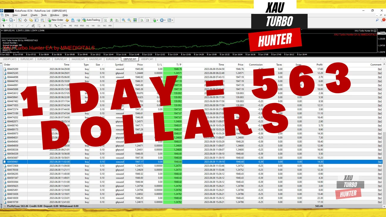 Account summary after a run on gold