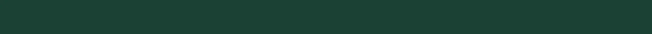 Divider between two result screenshots