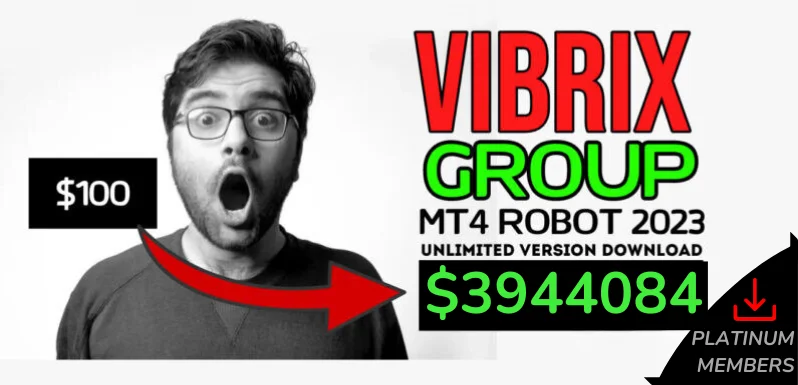 VIBRIX GROUP EA