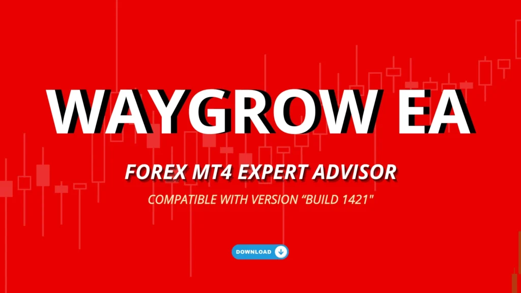 Waygrow Edu EA